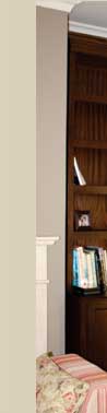 Bookcase Shaker