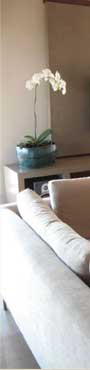 TV Unit Conran